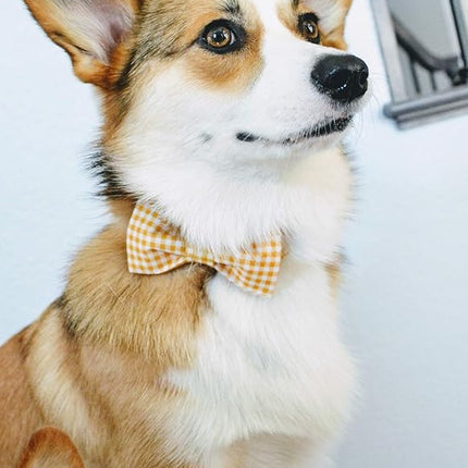 Lionet Paws Dog Collar with Bowtie, Durable Adjustable and Comfortable Collar for X-Large Dogs, Neck 16-26in