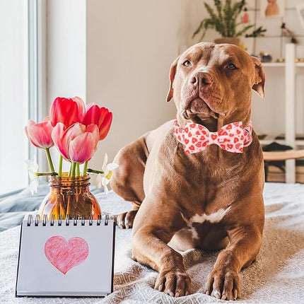 ARING PET Valentine Bow Dog Collar, Pink Red Heart Pet Collar with Bowtie for Small Medium Large Dogs-M