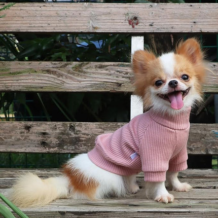 LOPHIPETS Small Dog Turtleneck Sweaters for Teacup Chihuahua Yorkie Puppy Cat Clothes-Pink/XXS