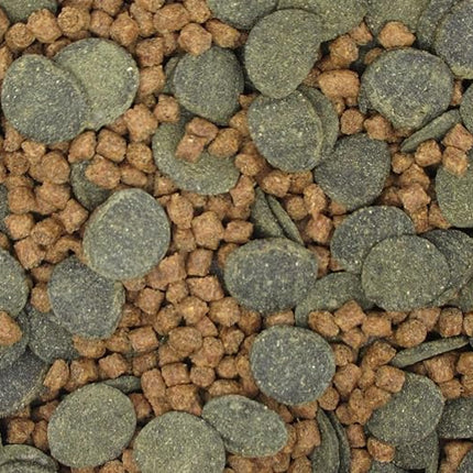 Micro Mix - Sinking Blended Diet for Snails, Shrimp & Bottom Feeding Fish (9 oz (255g))