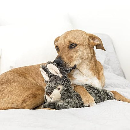 Fluff & Tuff – Walter Wabbit Plush Dog Toy