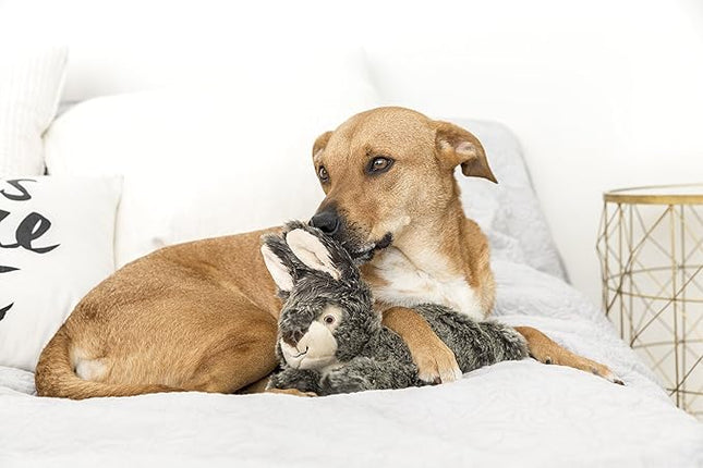 Fluff & Tuff – Walter Wabbit Plush Dog Toy