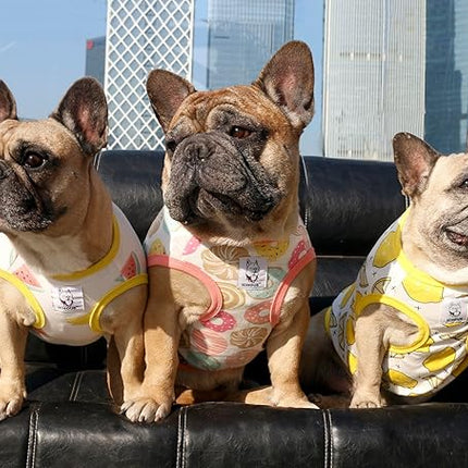 iChoue 2pcs French Bulldog Fruits Pattern Shirts 100% Breathable Cotton Tank Tops Vests Clothes for Frenchie Dogs, Lemon and Watermelon, Large
