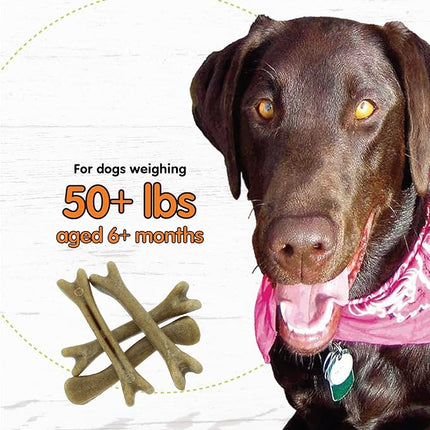 Fido - Super Breath Dental Care Bones for Dogs - 4 Treats Per Pack (3 Pack) - Dog Dental Treats for Large Dogs (Made in USA) - Dog Dental Chews Help Reduce Plaque, Tartar Buildup, and Freshens Breath