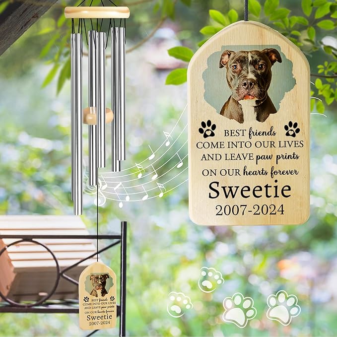 Pet Memorial Wind Chimes, Personalized Pet Memorial Wind Chime, Medium Size, Come into Our Lives