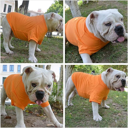 Lovelonglong Bulldog Clothes Dog Clothing Blank T-Shirt Tee Shirts for French Bulldog English Bulldog American Pit Bull Pugs 100% Cotton Skin Care Orange B-L