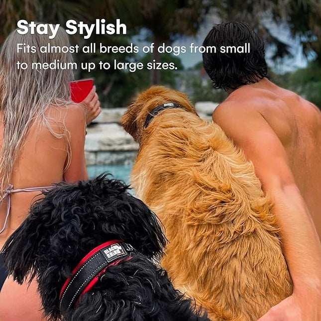 Black Rhino - The Comfort Collar Ultra Soft Neoprene Padded Dog Collar for All Breeds - Heavy Duty Adjustable Reflective Weatherproof (Small, Red/Black)