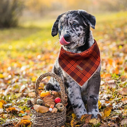 Lionheart glory Dog Bandana 1 Pack Washable Soft Plaid Dog Scarf, Fall Bib Scarf Boy Girl Bandana Square Adjustable Dog Bandanas for Small to Large Dog