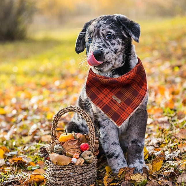 Lionheart glory Dog Bandana 1 Pack Washable Soft Plaid Dog Scarf, Fall Bib Scarf Boy Girl Bandana Square Adjustable Dog Bandanas for Small to Large Dog