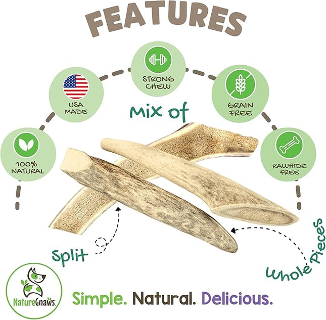 Nature Gnaws USA Deer Antlers for Dogs 4-7" (3 Count) - Mix of Split and Whole Pieces - Long Lasting for Small and Medium Breeds - Natural Dog Chew Bones