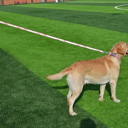 Dog Collar and Leash Set with Bohemia Floral Tribal Geometric Patterns - Soft Ethnic Style Collar Adjustable for Small Medium Large Dogs(Pink Rose Set,XS)