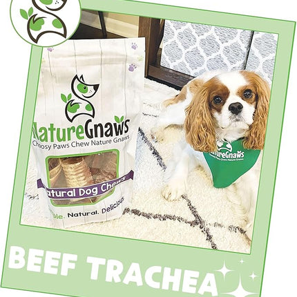 Nature Gnaws Beef Trachea Chews for Dogs 3" (12 Count) - Long Lasting Natural Crunchy Dog Chew Bones - Rawhide Free (Pack of 2)