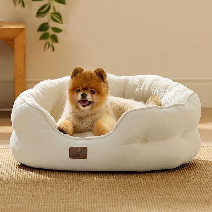 Bedsure Dog Beds for Small Dogs - Round Cat Beds for Indoor Cats, Washable Pet Bed for Puppy and Kitten with Slip-Resistant Bottom, 25 Inches, White