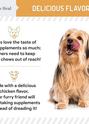 Omega 3 Fish Oil for Dogs -360 Soft Chew Omega Treats for Skin and Coat -Salmon Oil Blend of Essential Fatty Acids, Vitamins, Antioxidants, Minerals -Made in USA (2 Packs of 180, Chicken Flavor)