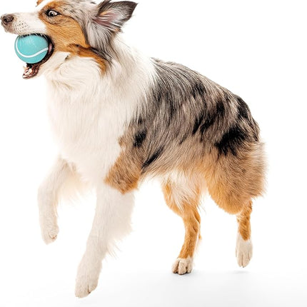 Playology Dog Toys | Squeaky Chew Ball - Bouncy Durable Floating Fetch Ball for Dogs | Jumbo Peanut Butter Scented Toy - Easy to Clean and Made from Non Toxic Materials