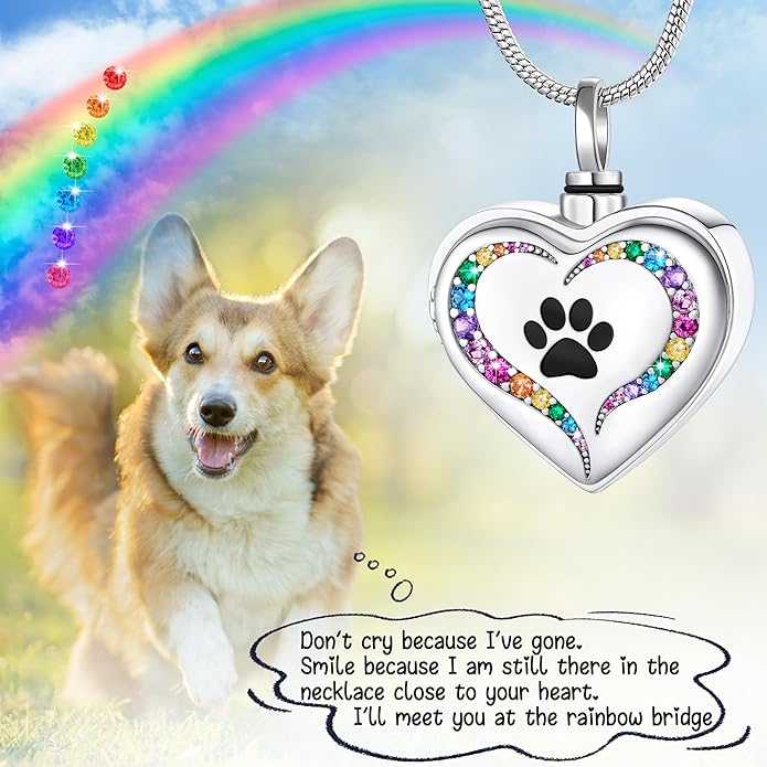 Farfume Personalized Pet Urn Necklace for Dog Cat Ashes Cremation Pet Memorial Customized Photo Text Engraving Pendant Keepsake Funeral Jewelry