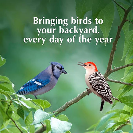 C&S EZ Fill Deluxe Suet and Snak Feeder with Roof & Platform, Suet Feeder for Wild Birds, Holds one 56 Ounce Suet Cake