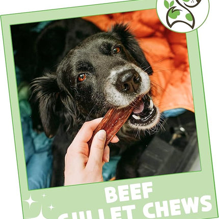 Nature Gnaws Beef Gullet Chews for Small Dogs 4-5" (10 Count) - Natural Beef Jerky Stick Dog Chew Treats - Rawhide Free
