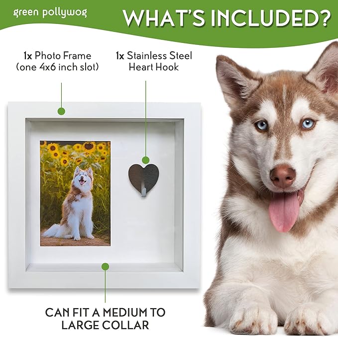 Green Pollywog Pet Memorial Shadowbox with Photo, Tag & Collar Display | White Frame with 4” x 6” Picture Opening | 10” x 10” x 2.5” Keepsake Box
