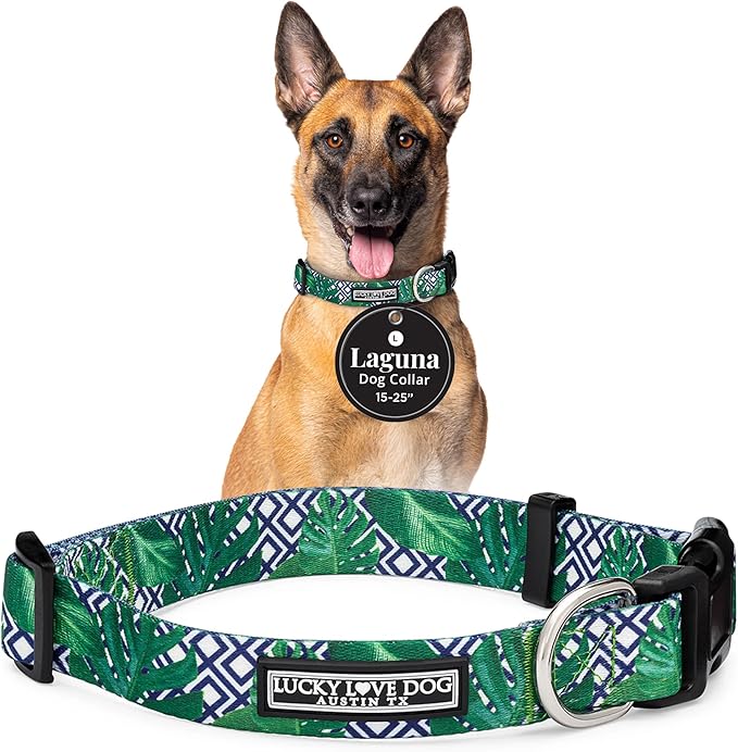 Lucky Love Dog Collar, Beautiful & Vivid Pattern Large Boy Dog Collars, Easy On & Off Clasp Accessory (Blue Laguna, L)