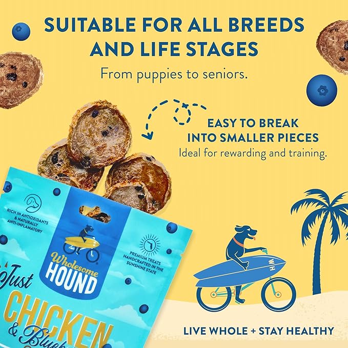 Chicken & Blueberry Chips – 2 Simple Ingredient Dog Treats, All Natural & Healthy Training Snacks for Small, Medium & Large Breeds, Puppies – High Protein, Made in USA, 7oz
