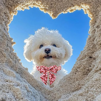 Maca Bates Valentine's Day Dog Collar with Sailor Bow for Small Girl Boy Dogs,Red Love Hearts Pattern,Adjustable Durable Soft Valentine Gift for Female Male Puppy