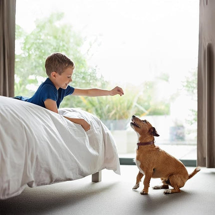 Exclusively Dog Best Buddy Bits Training Treats for Dogs and Puppies - All Natural, Baked in The USA, Ideal for Training & Agility, No Animal Byproducts - Peanut Butter Flavor, 5.5oz Resealable Bag