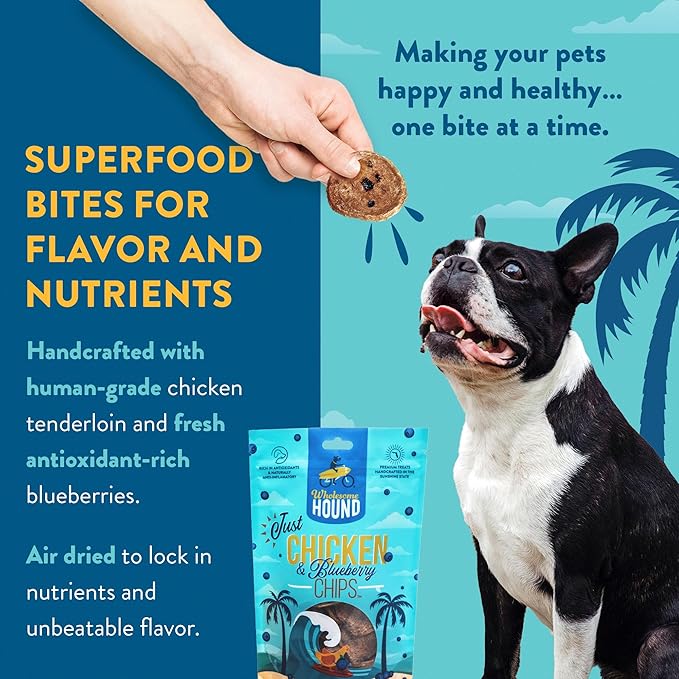 Chicken & Blueberry Chips – 2 Simple Ingredient Dog Treats, All Natural & Healthy Training Snacks for Small, Medium & Large Breeds, Puppies – High Protein, Made in USA, 7oz