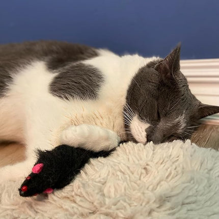 SPOT Shaggy Plush Ferret - Interactive Rattle and Catnip Fuzzy Toy for Indoor Cats and Kittens, Large Size Perfect for Pouncing, Chasing, Hunting, 11 Inches (Pack of 2)