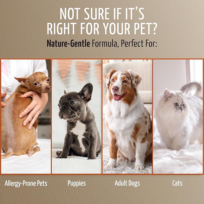 Tauro Pro Line Deshedding Dog Shampoo - Shedding Control & Fur Density Support - Moisturizing Dogs Shampoo for Thinning Coats, Weak Post-Surgery Pet Hair Regrowth (Coat Growth Recovery 13.5 Fl Oz)