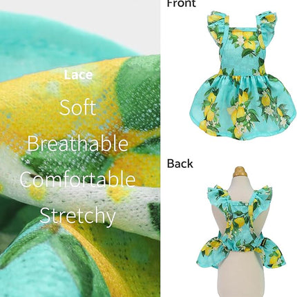 Fitwarm Lemon Dog Dress, Dog Clothes for Small Dogs Girl, Pet Cat Apparel, Teal Blue, Yellow, Green, XS