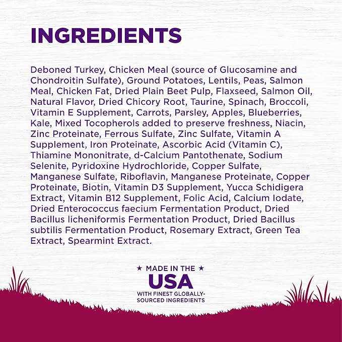 Wellness Complete Health Dry Dog Food, Small Breed, Grain Free, Natural, Turkey, Chicken, & Salmon Recipe (11-Pound Bag)