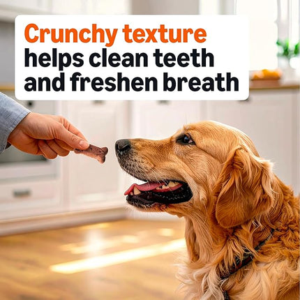 Amazon Basics Crunchy Dog Biscuits Gravy Basted Flavor Dog Treats 5 lb. Box