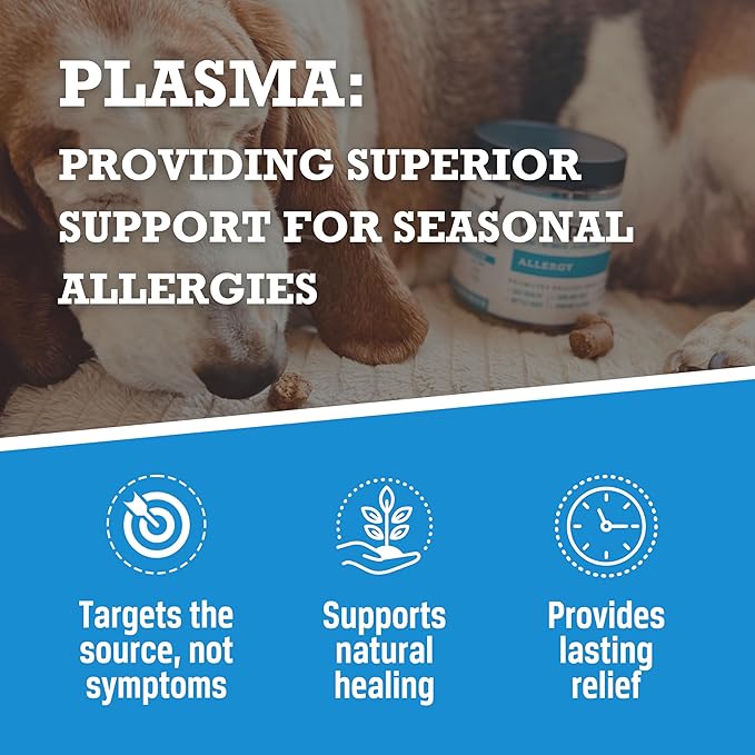 WINPRO Dog Allergy Relief Chews – Plasma-Powered Soft Chews for Dogs – Grain-Free, Natural Blood Protein Supplements – Anti-Itch, Skin & Allergy Relief – 60 Chews, Made in The USA