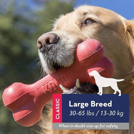 KONG Goodie Bone - Classic Durable Natural Rubber Dog Bone, Supports Mental Engagement - Treat Dispensing - Red - for Large Dogs