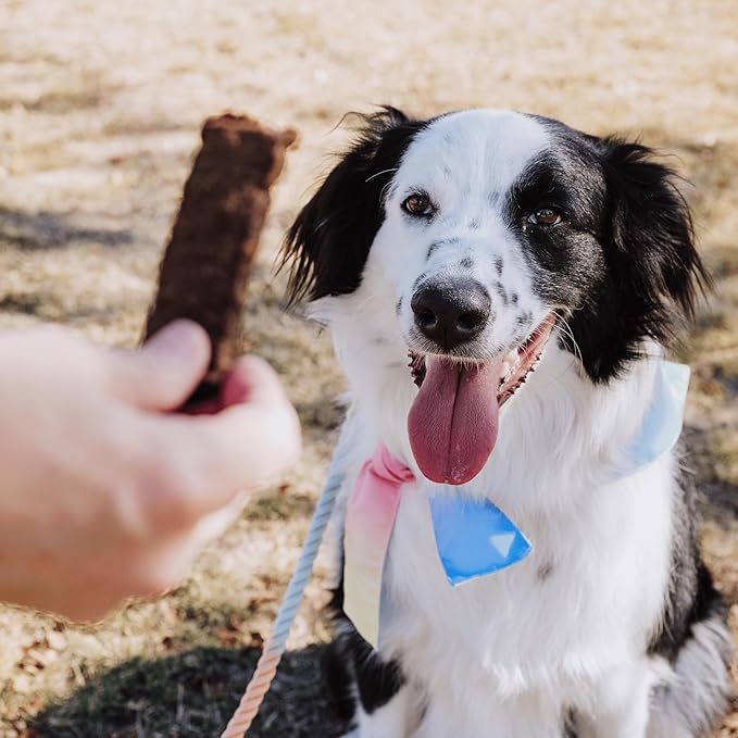 Leash & Load Dog Treats Beef Jerky Snack Bars, 16 oz Bag, Puppy Training Treats, Natural Superfood Grain Free Treat Made with Real Beef, Superfoods, Corn, Poultry & Soy Free