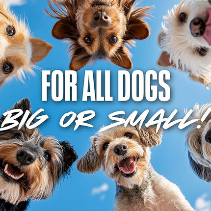 Nerf Dog Tennis Ball Blaster Dog Toy Blue/Orange, 16 Inch Compact Blaster with 1 Ball