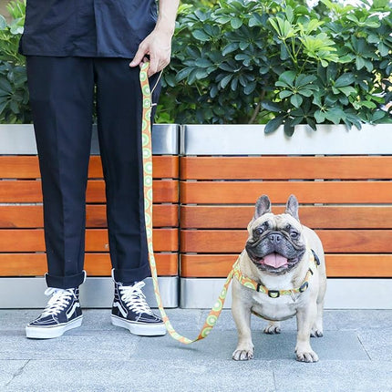 iChoue French Bulldog Harness Adjustable Locked Buckle with Handle for Frenchie Pug English Boston Terrier Dogs, Kiwi Fruit, Large