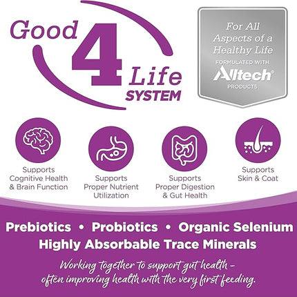 Large Breed Puppy Chicken & Rice Dry Dog Food Size: 1.5-Lb Bag