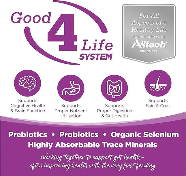 Large Breed Puppy Chicken & Rice Dry Dog Food Size: 1.5-Lb Bag