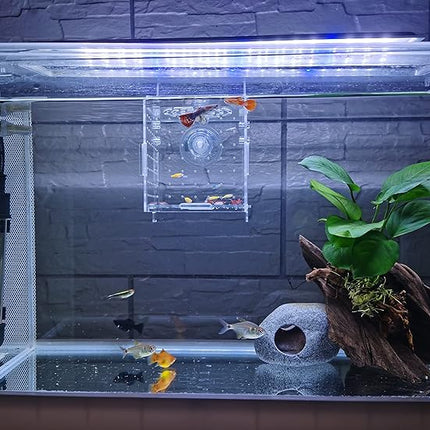 Acrylic Fish breeding Box, Acrylic Fish Isolation Box, Fish Separator for Aquarium, Hatchery Incubator with Suction Cups for Small Baby Fishes Shrimp Clownfish Guppy (3.9 * 3.9 * 3.9inch)