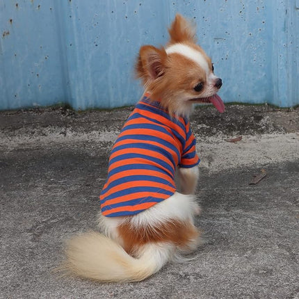 LOPHIPETS 100% Breathable Cotton Striped Dog Tee Shirt T-Shirt for Small Dogs Chihuahua Puppy Clothes -Orange and Blue Strips/L