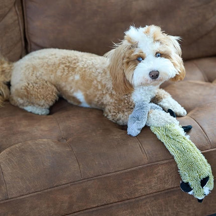 SPOT Skinneeez Raccoon 23 Inch Stuffing-Free Dog Toy – Soft Plush Tug Toy with Two Squeakers for Medium and Large Dogs – Mess-Free Interactive Chew Toy