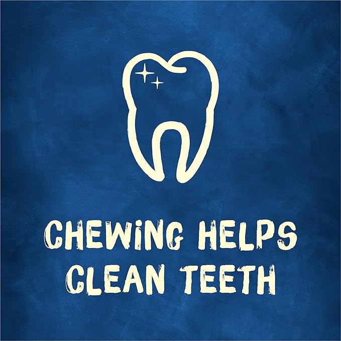 Purina Busy With Beggin' Dog Treats, Twist'd - 10 Count (Pack of 1)