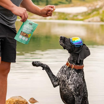 Natural Rapport Dehydrated Fish Dog Treats - The Only Silver Carp Fish Chips Dogs Need - All Natural Dog Treats for Small and Large Dogs (3 oz)