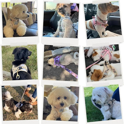 EXPAWLORER Classic Plaid Puppy Harness - Dog Collar and Leash - Soft Mesh Padded Adjustable Step in Small Dog Vest Harness No Pull, Reflective Escape Proof for Outdoor Walking, Black XS