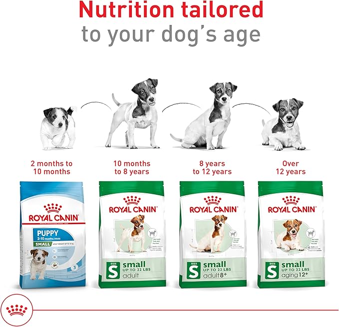 Royal Canin Size Health Nutrition Small Adult Dry Dog Food, 14 lb Bag