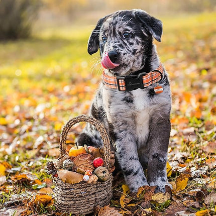 ARING PET Puppy Fall Dog Collar, Autumn Orange Black White Plaid Pet Collars for Small Medium Large Girl Boy Dogs Halloween-XS Size