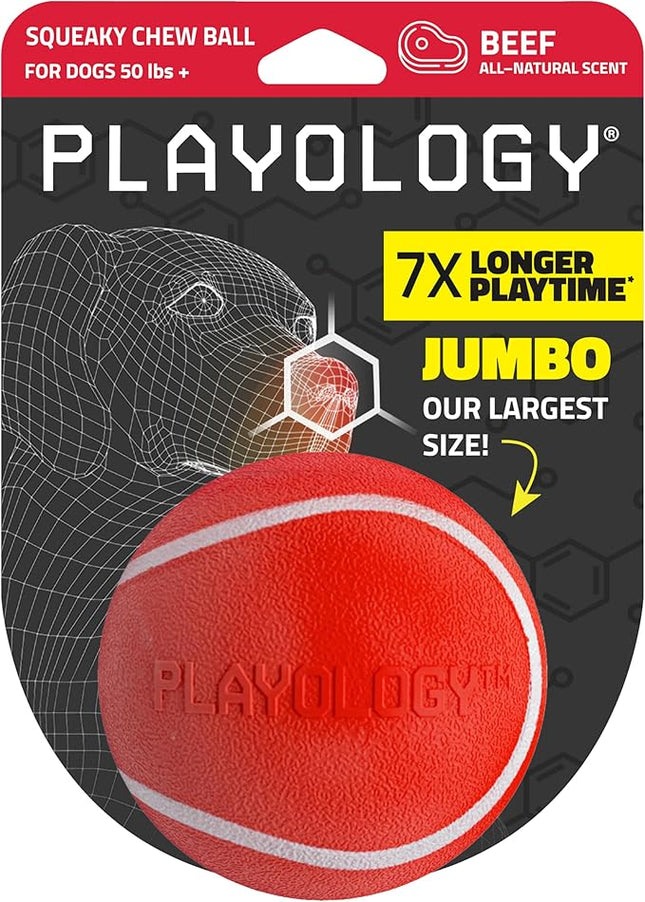 Playology Dog Toys | Squeaky Chew Ball - Bouncy Durable Floating Fetch Ball for Dogs | Jumbo Beef Scented Toy - Easy to Clean and Made from Non Toxic Materials
