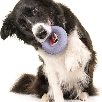 Playology Dog Toys | Dual Layer Ring Durable Chew Toy for Aggressive Chewers | Medium Lamb Scented Toy - Easy to Clean and Made from Non Toxic Materials